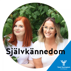 Självkännedom - SYVPODDEN sjalvkannedom3 Ystad Gymnasium